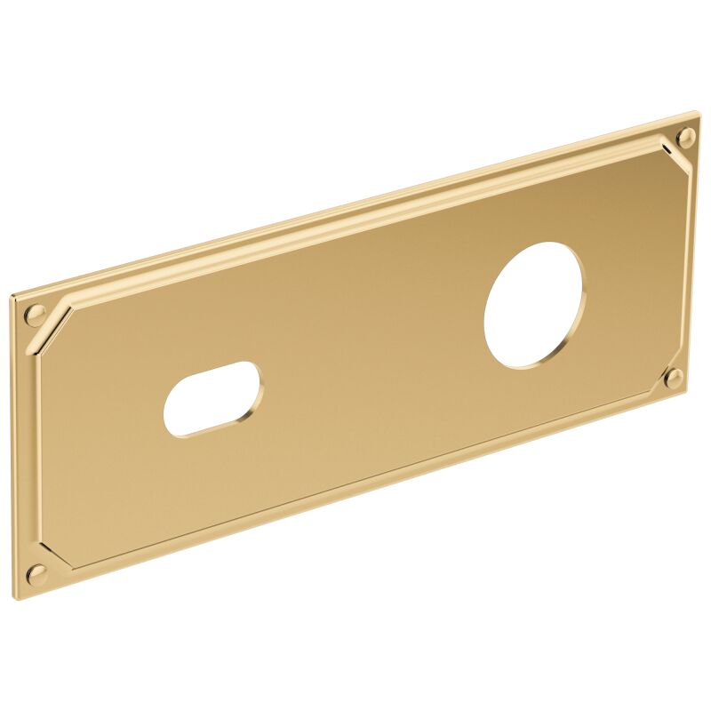 Brizo RP100323PG