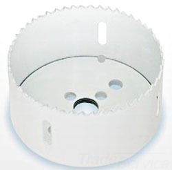 Lenox 3006666L