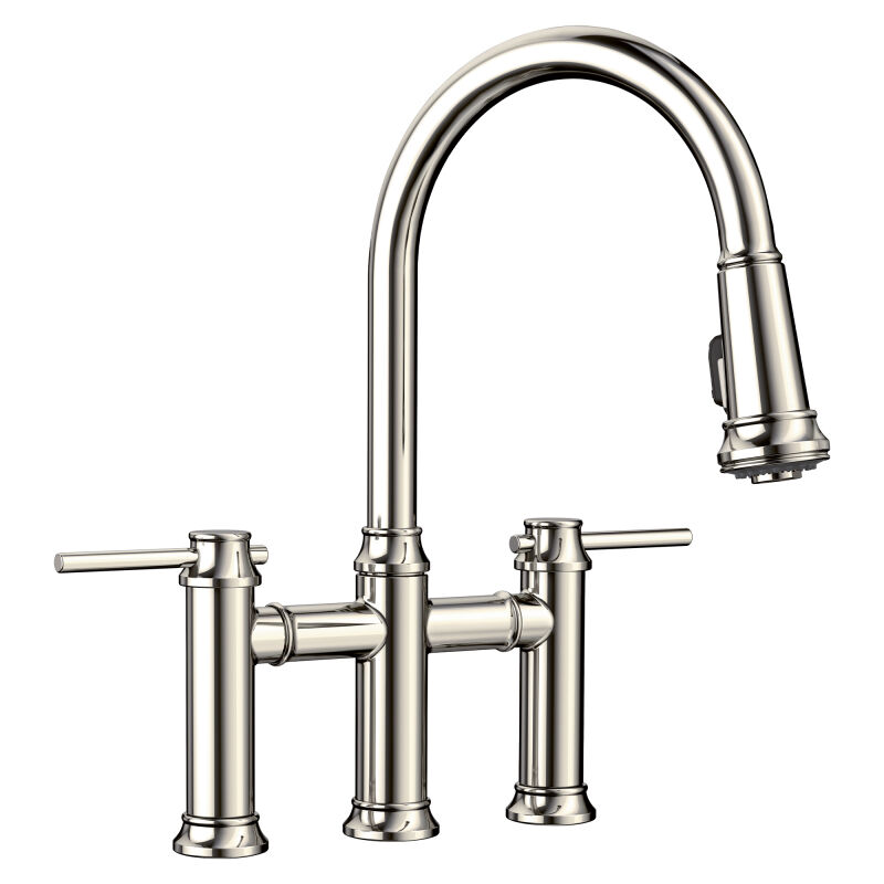 Heaney Pull-down Kitchen Faucet