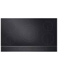 Fisher & Paykel 81366